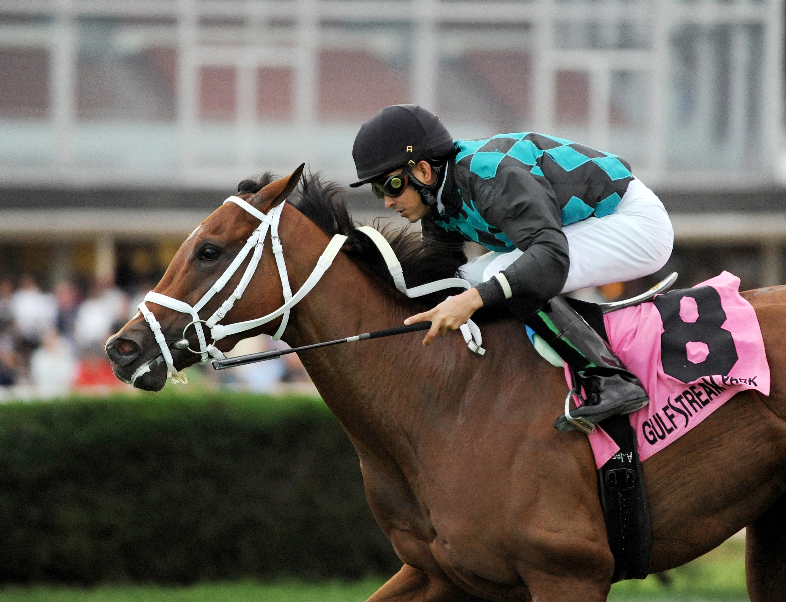 Daring Kathy wins the My Charmer