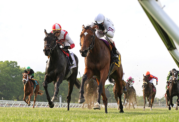 Reversethedecision (left) finishes second in the 2018 Boiling Springs Stakes at Monmouth Park