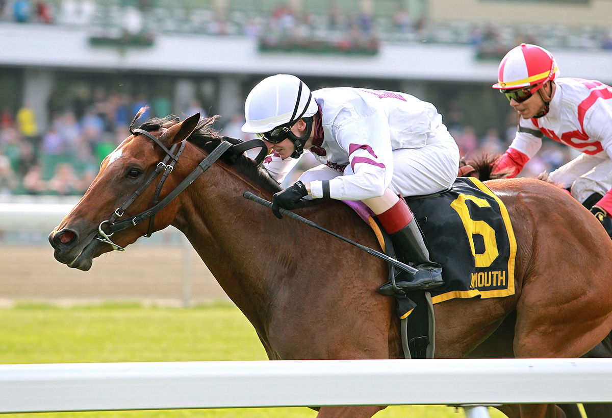 Dark Artist wins the 2018 Boiling Springs Stakes