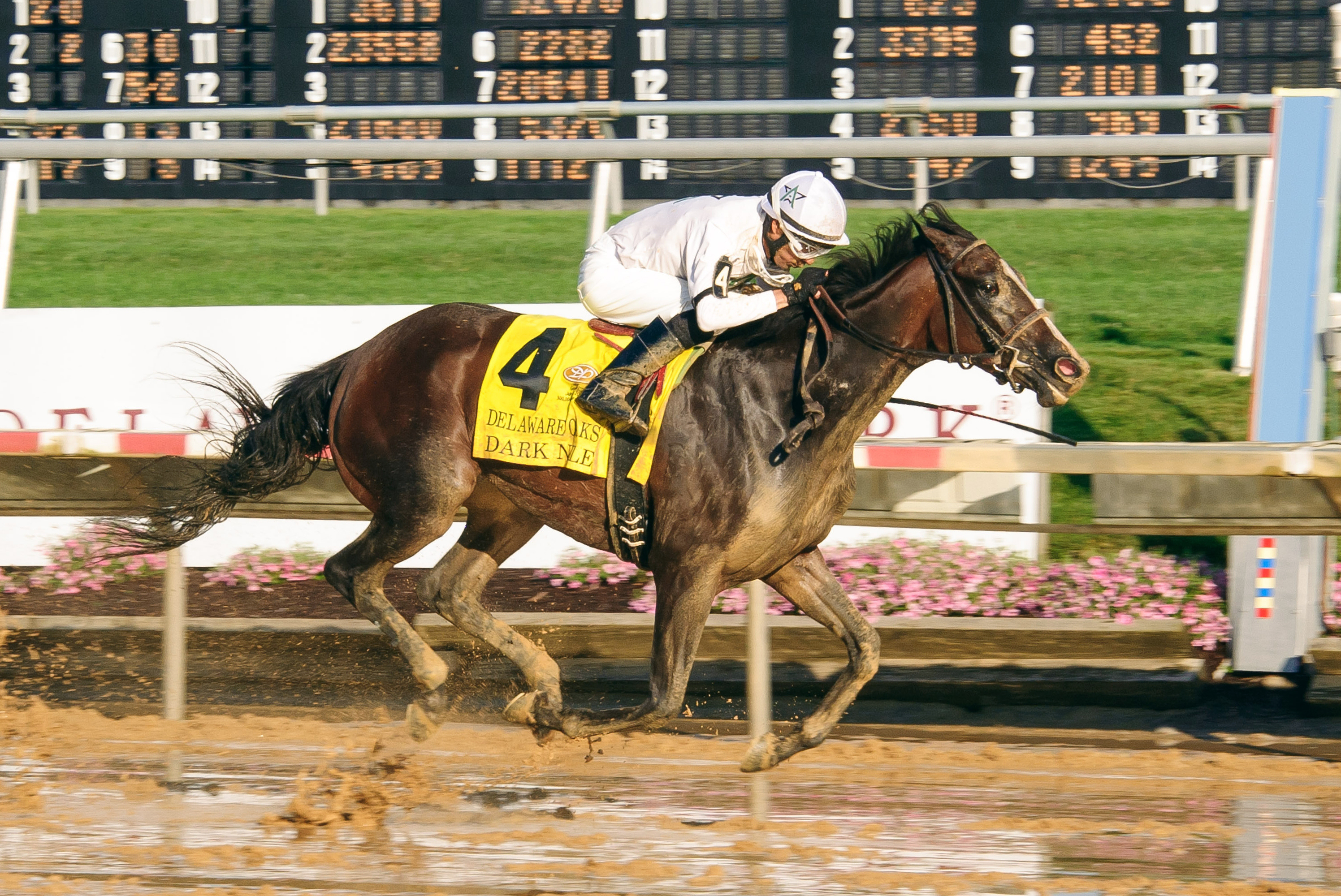 Dark Nile wins the 2016 Delaware Oaks