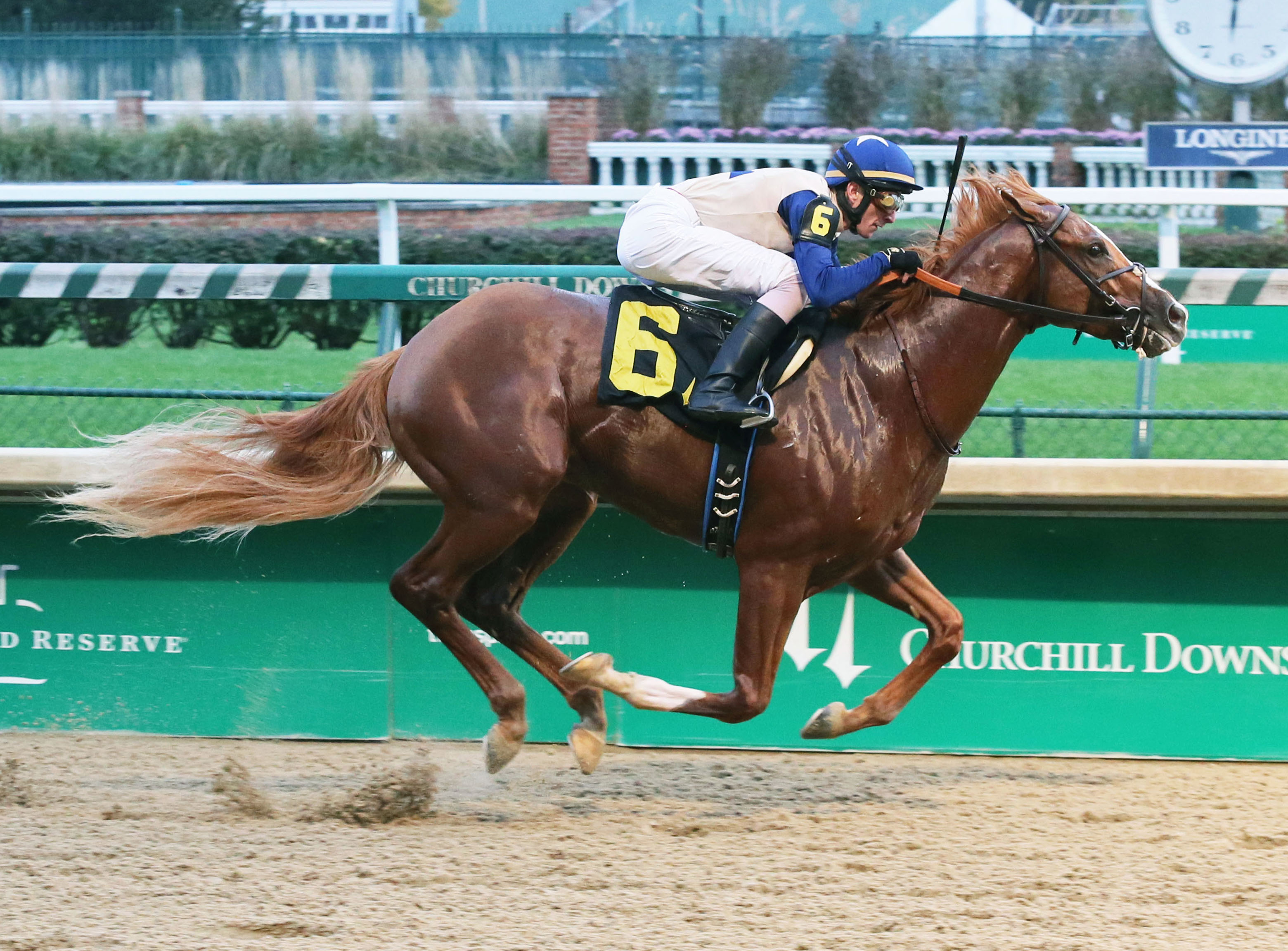 Dark Templar wins a Nov. 4 maiden race