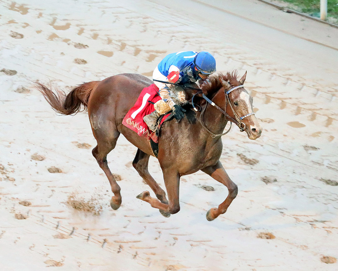 Dash Attack wins the 2022 Smart Jones Stakes at Oaklawn