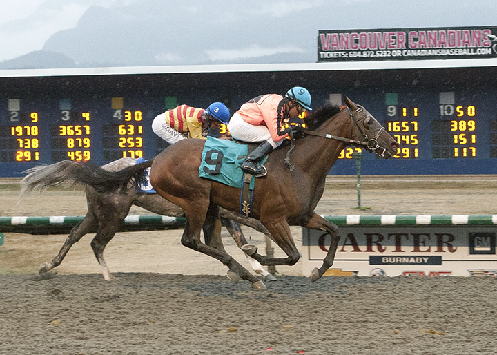 Dat Day wins the 2018 Jack Diamond Futurity Stakes