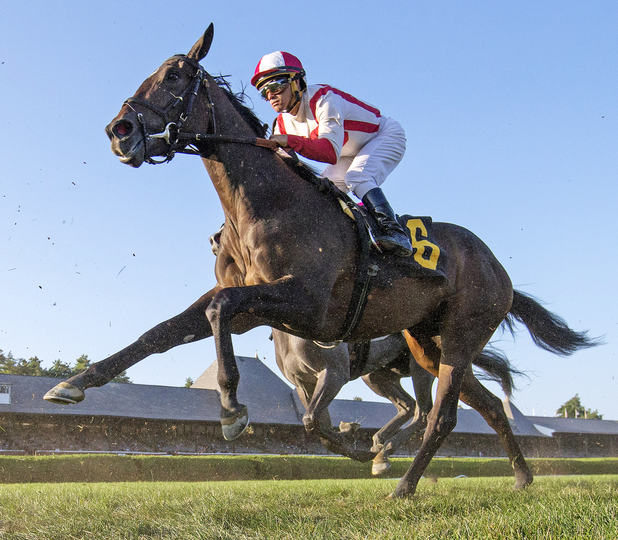 Data Dependent finishes third in an Aug. 27 maiden race