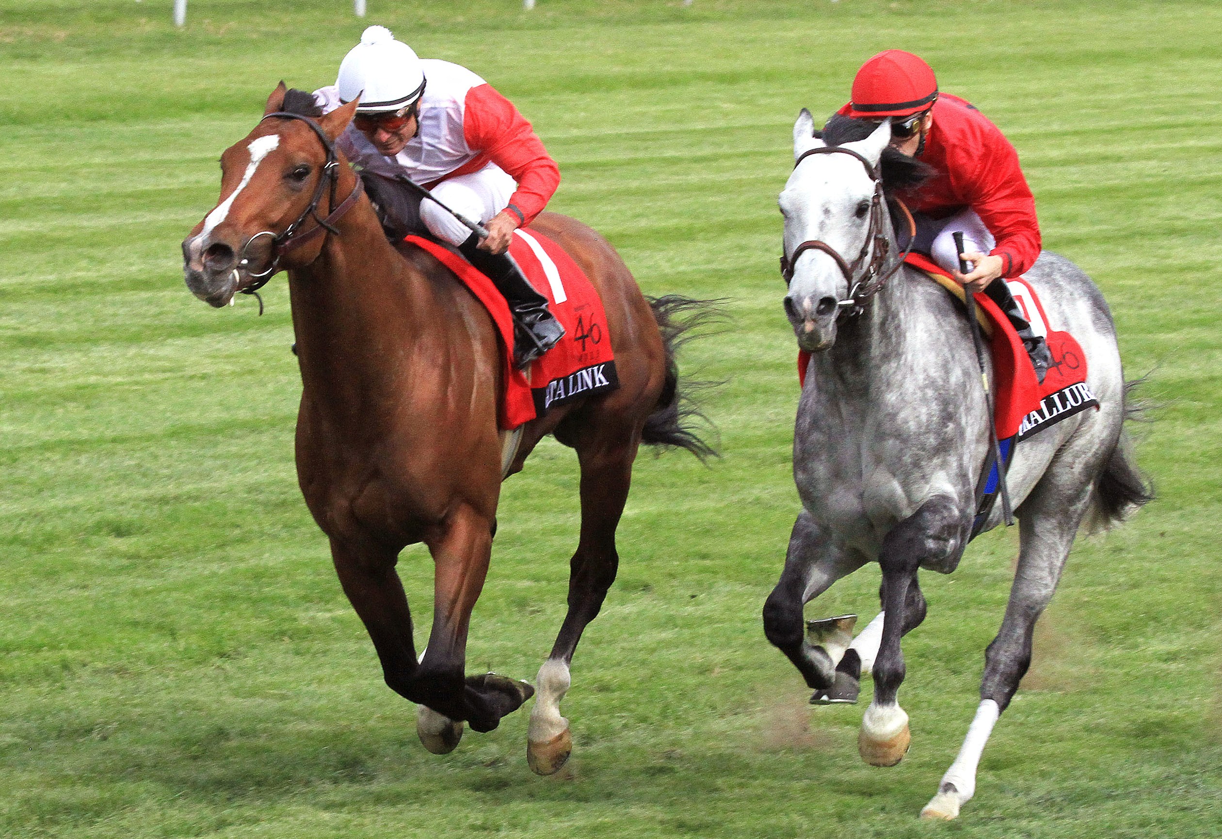 Data Link (left, Turallure, Maker's 46 Mile