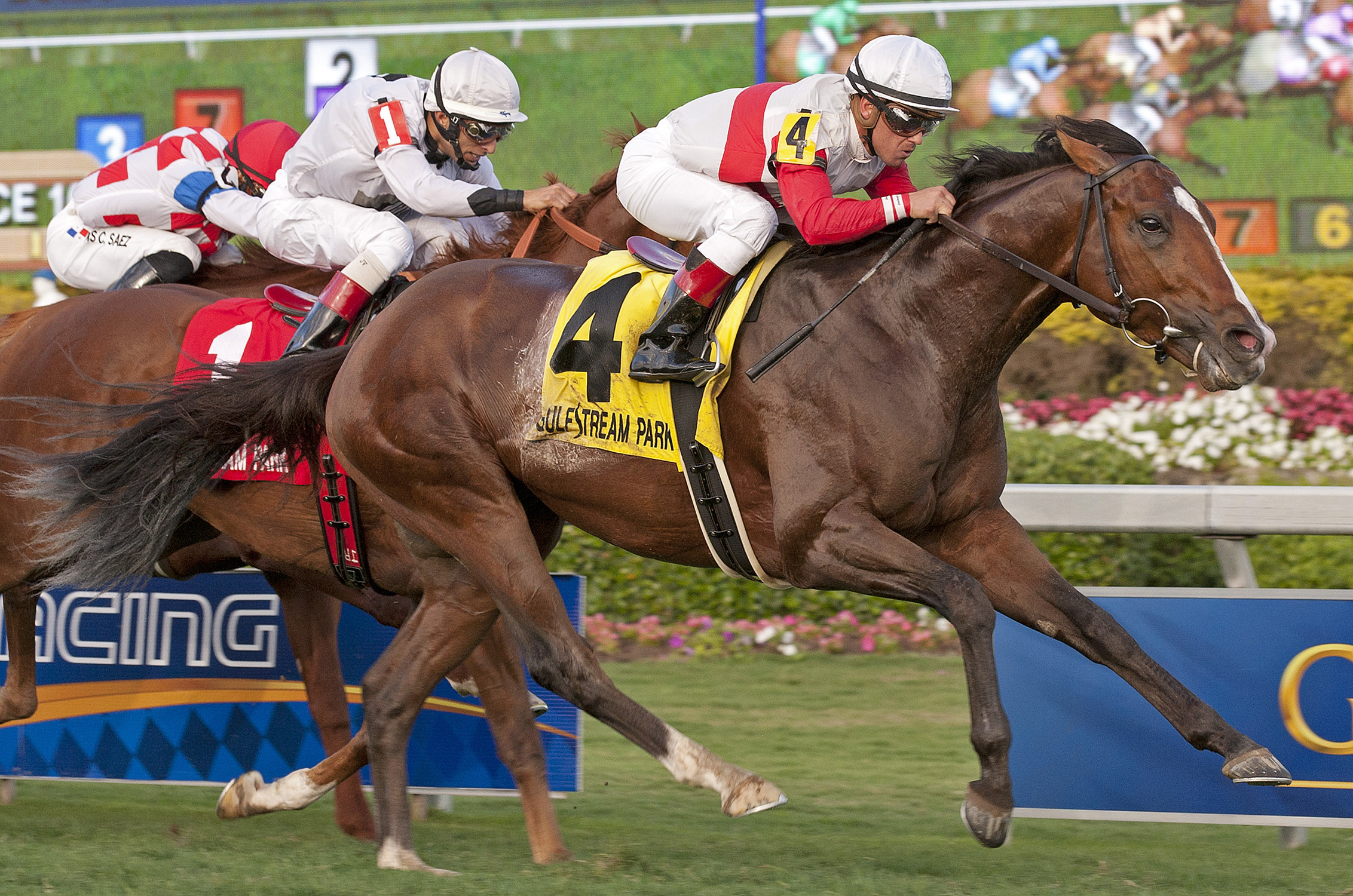 Data Link, Canadian Turf