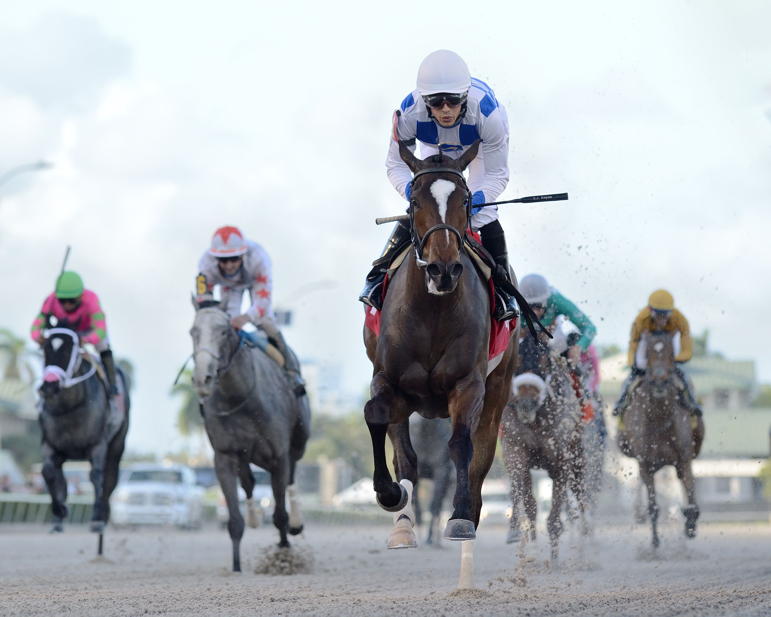 Wholebodemeister wins Davona Dale 2-27-2021