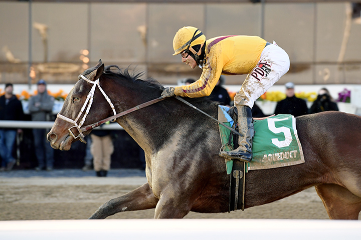 Dawn the Destroyer wins the Interborough Stakes