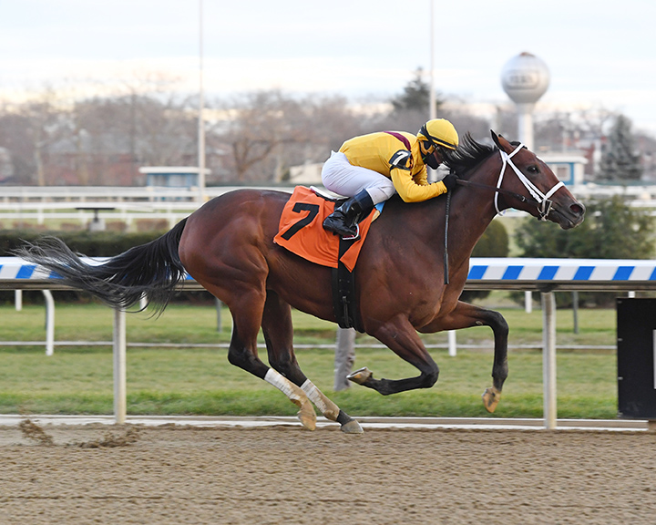 Dawn the Destroyer wins a Nov. 29 allowance