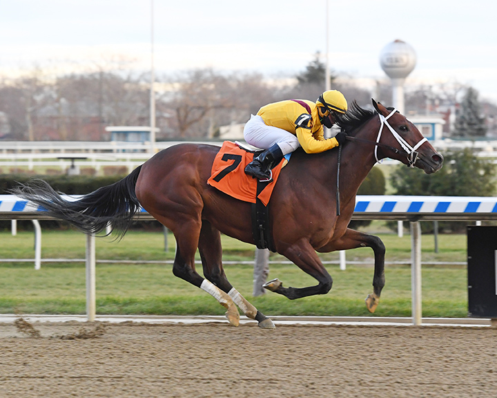 Dawn the Destroyer wins an Aqueduct allowance on 11.29.18