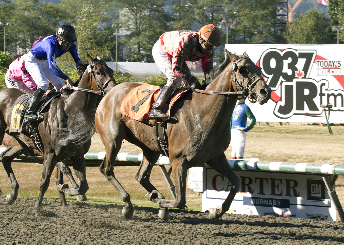 Day Raider wins the British Columbia Cup Sir Winston Churchill Derby Trial Handicap