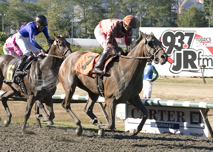 Day Raider wins the 2018 British Columbia Cup Sir Winston Churchill Derby