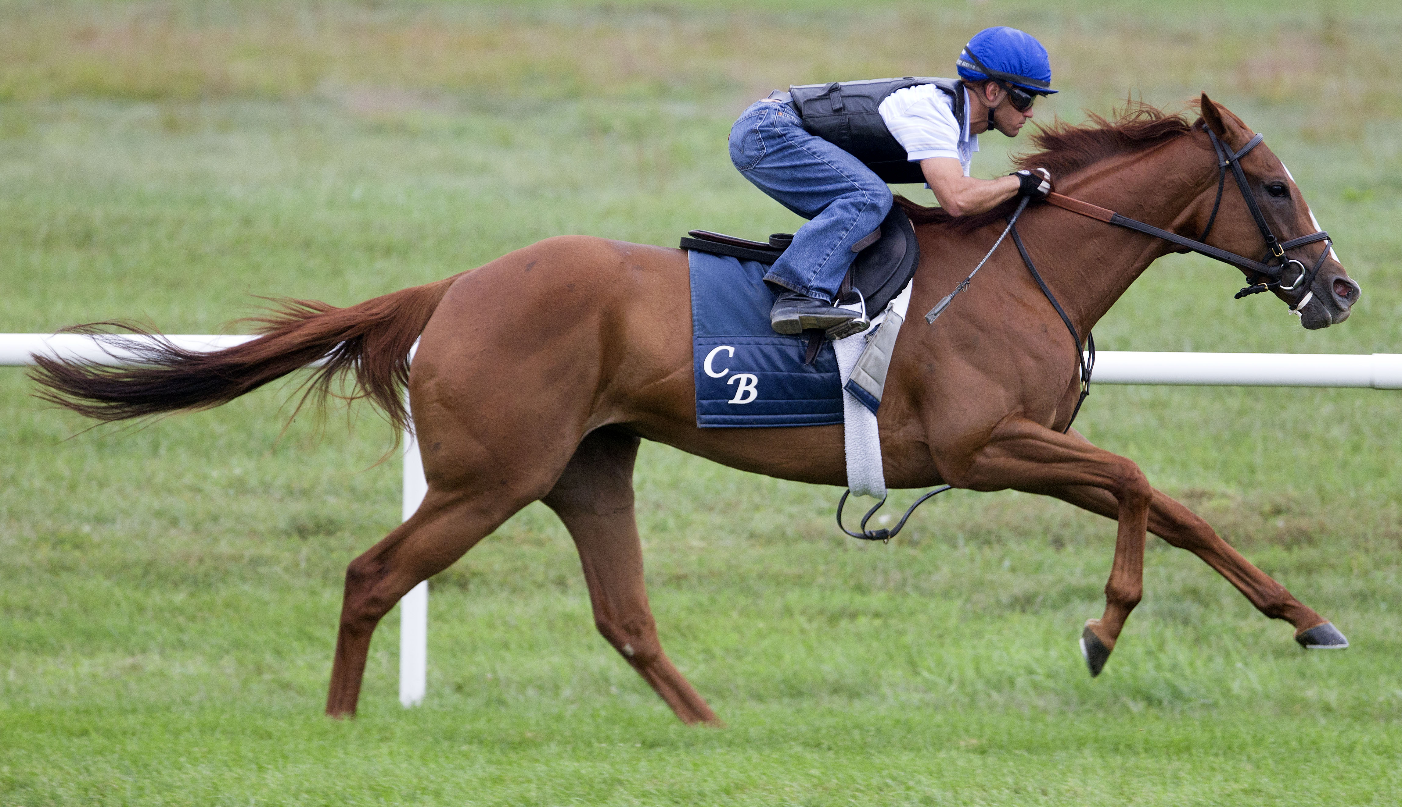 Dayatthespa training at Saratoga