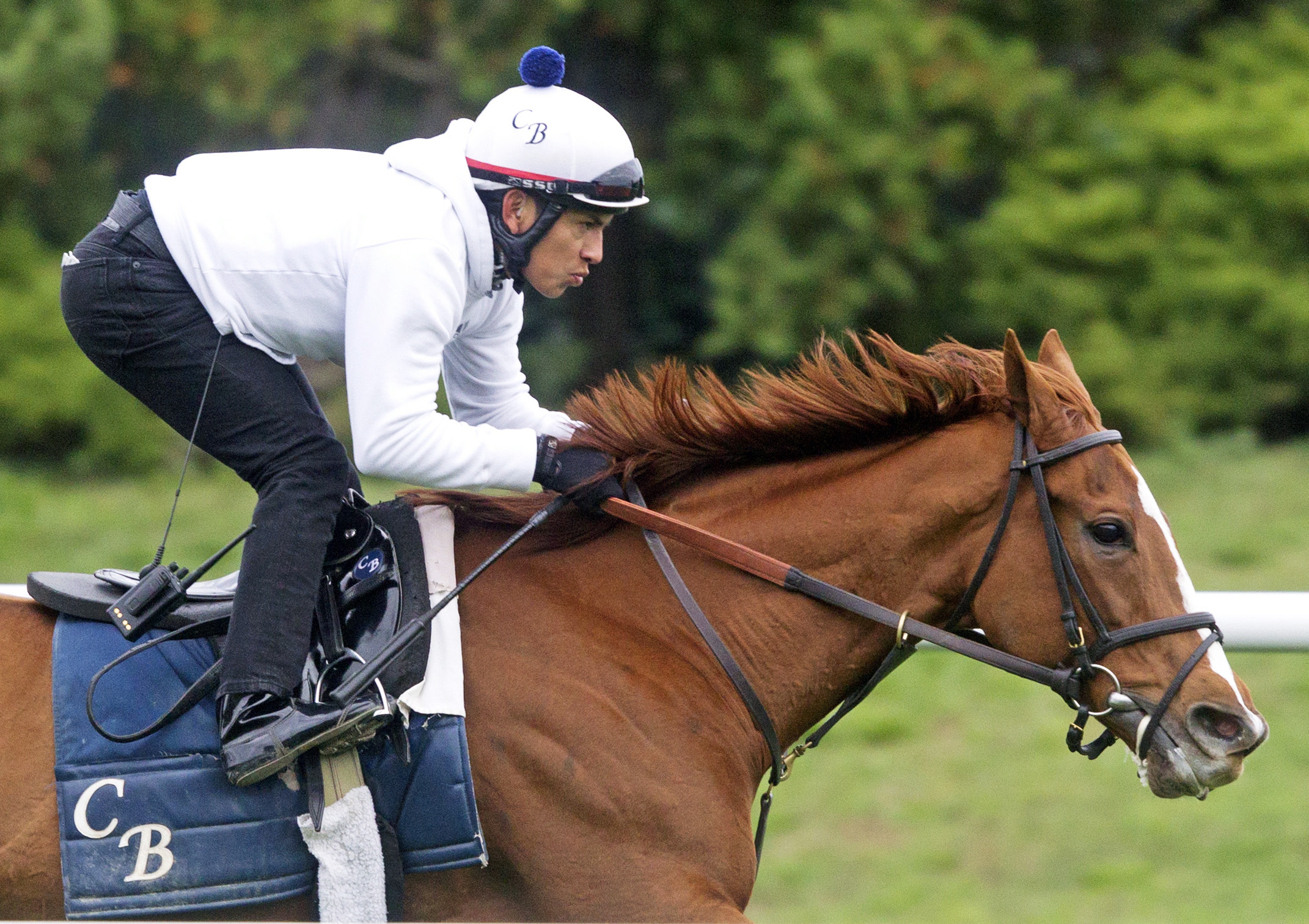 Dayatthespa trains at Belmont on Oct. 19
