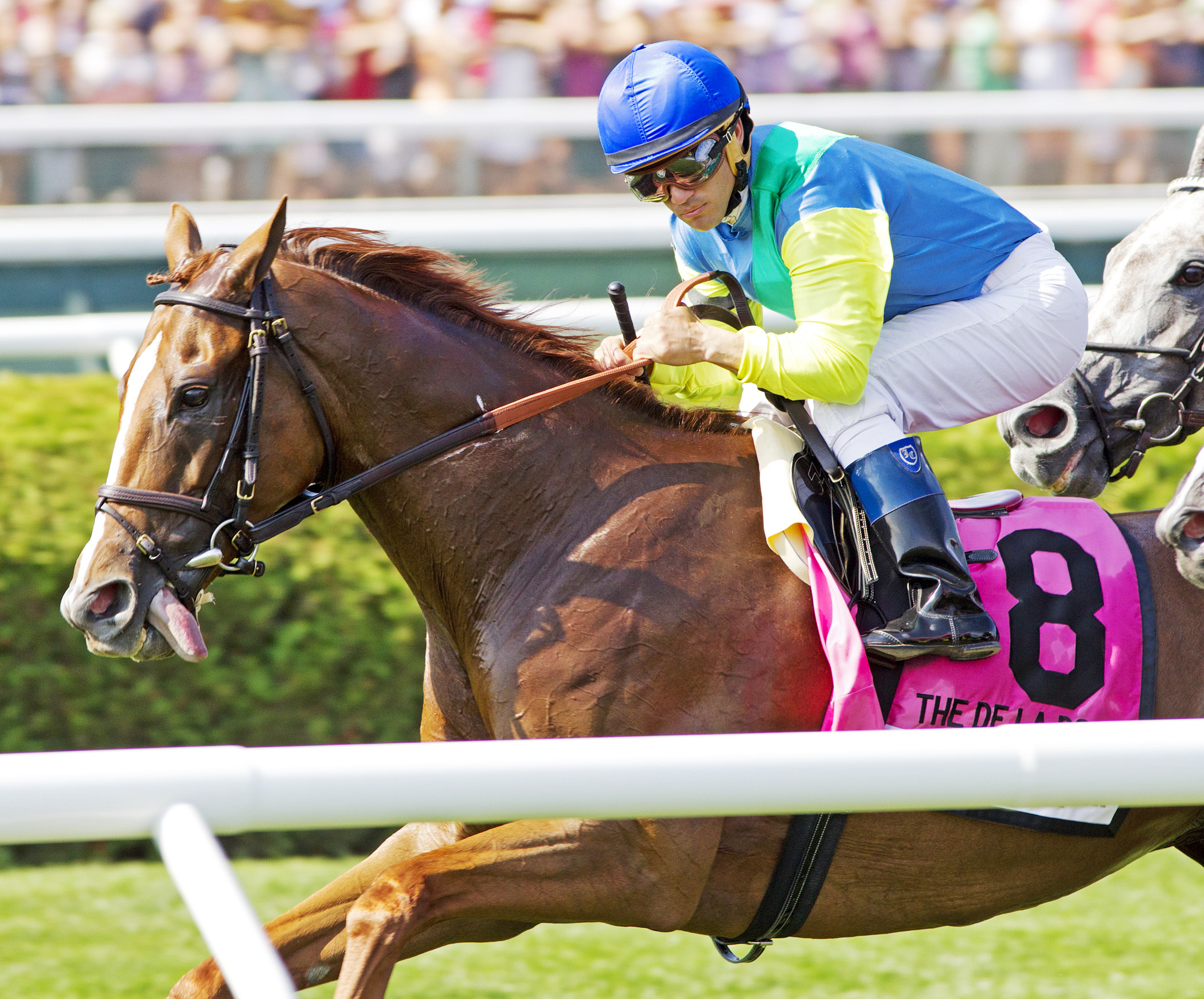 Dayatthespa finishes second in the De La Rose Stakes