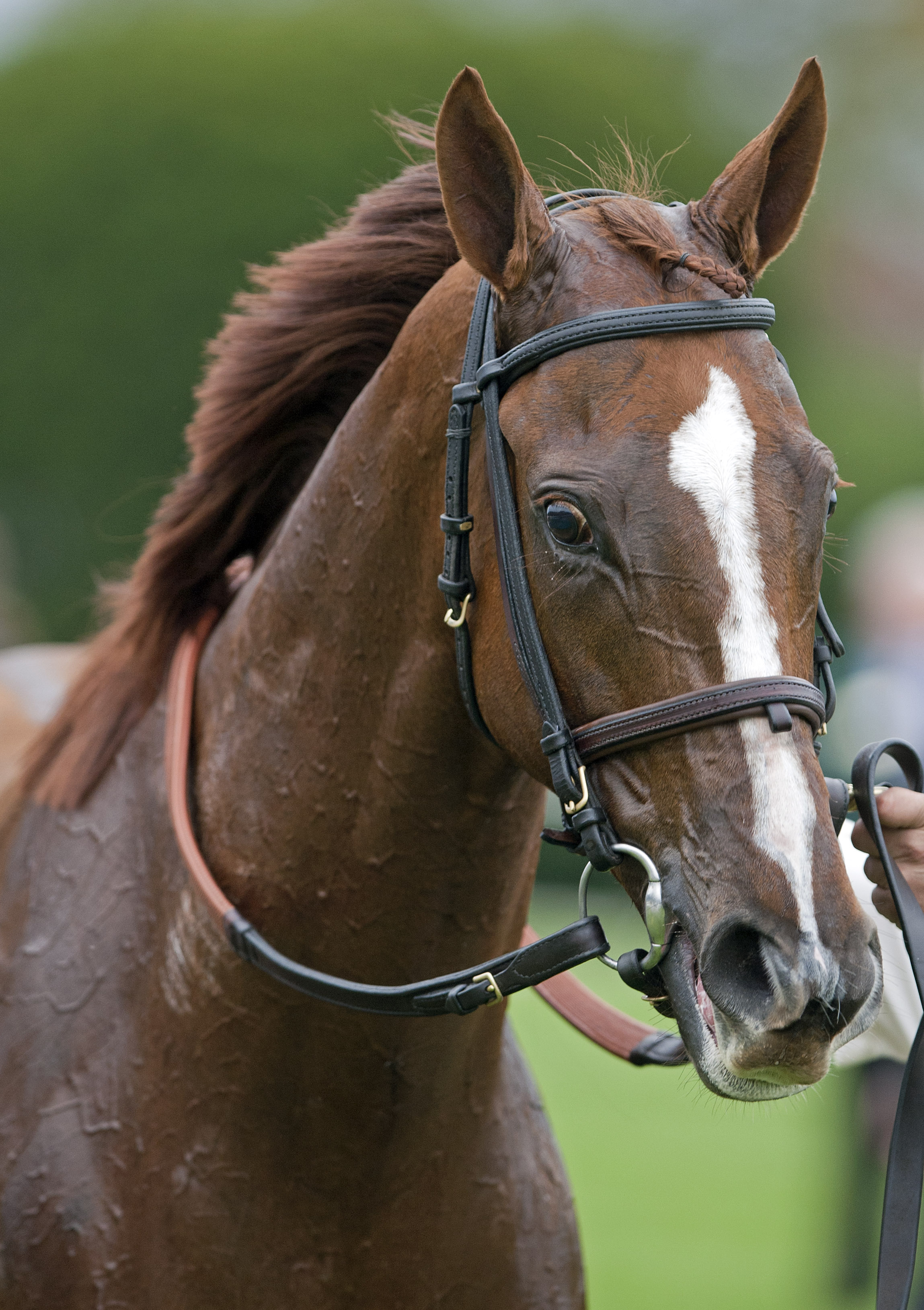 Dayatthespa 10-13-2012