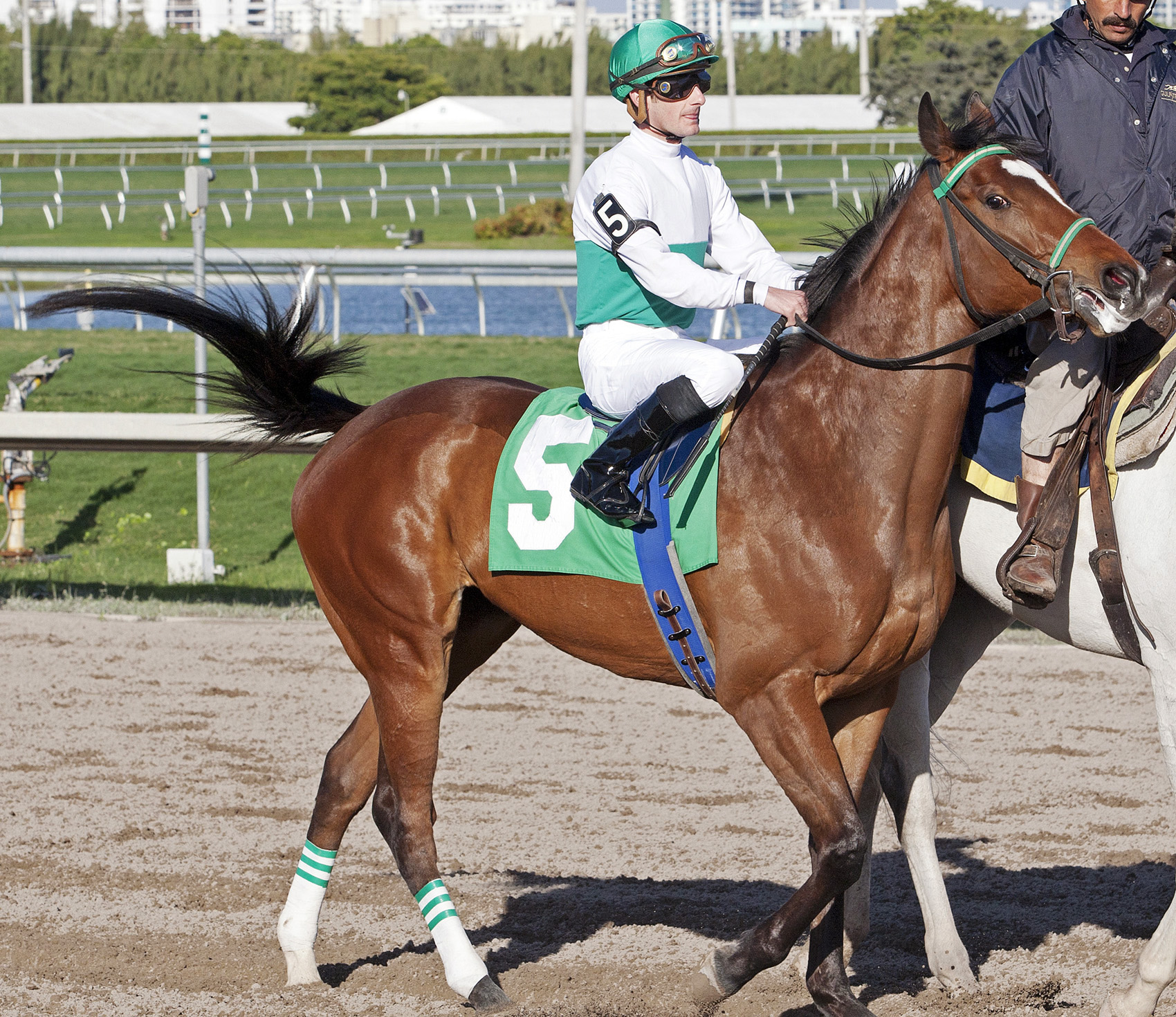 Daylight Ride at Gulfstream Park
