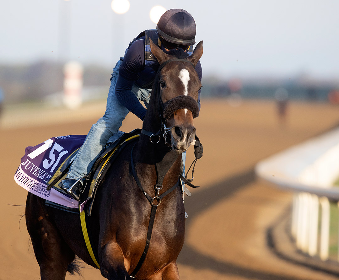 Dayoutoftheoffice trains in November at Keeneland for the Breeders' Cup