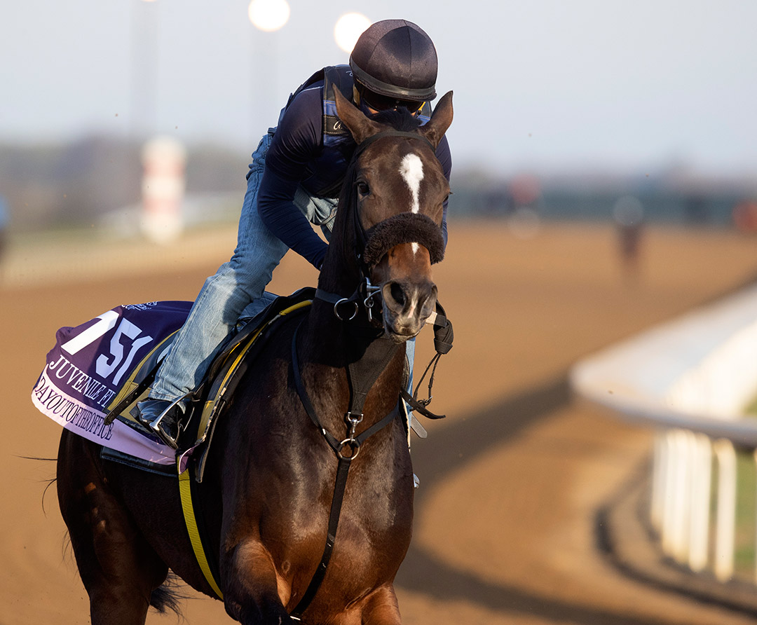 Dayoutoftheoffice trains at Keeneland on Nov. 1