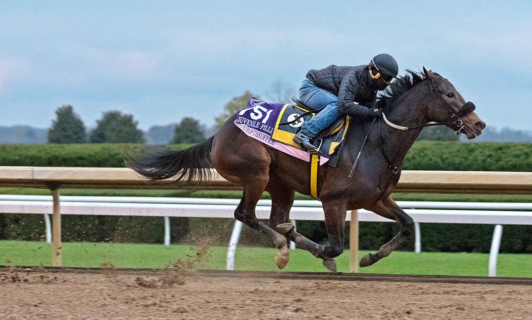 Dayoutoftheoffice trains in November at Keeneland for the Breeders' Cup