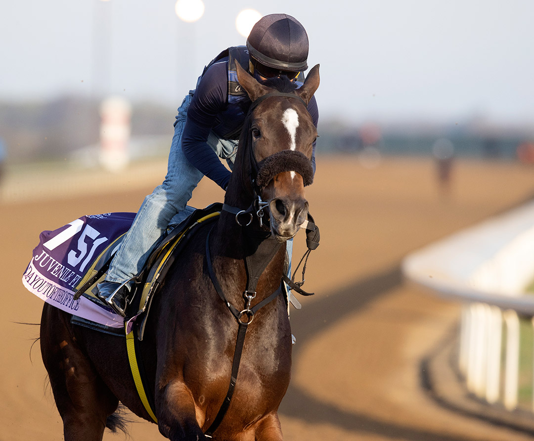 Dayoutoftheoffice trains in November at Keeneland for the Breeders' Cup