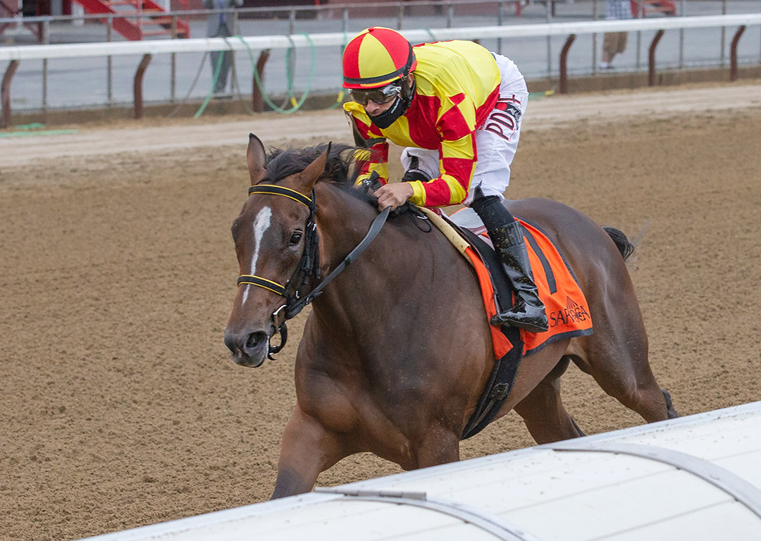 Dayoutoftheoffice wins the 2020 Schuylerville Stakes at Saratoga Race Course