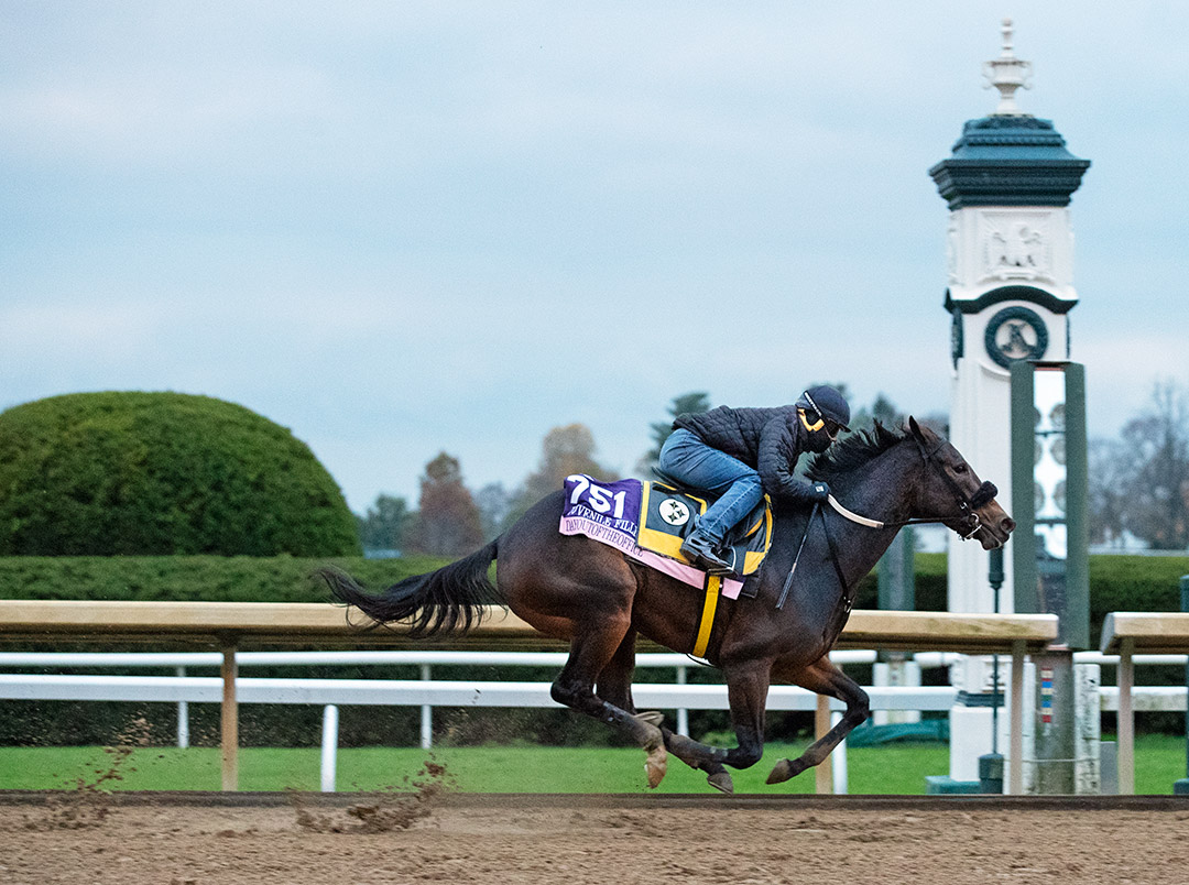 Dayoutoftheoffice trains at Keeneland on Oct. 30