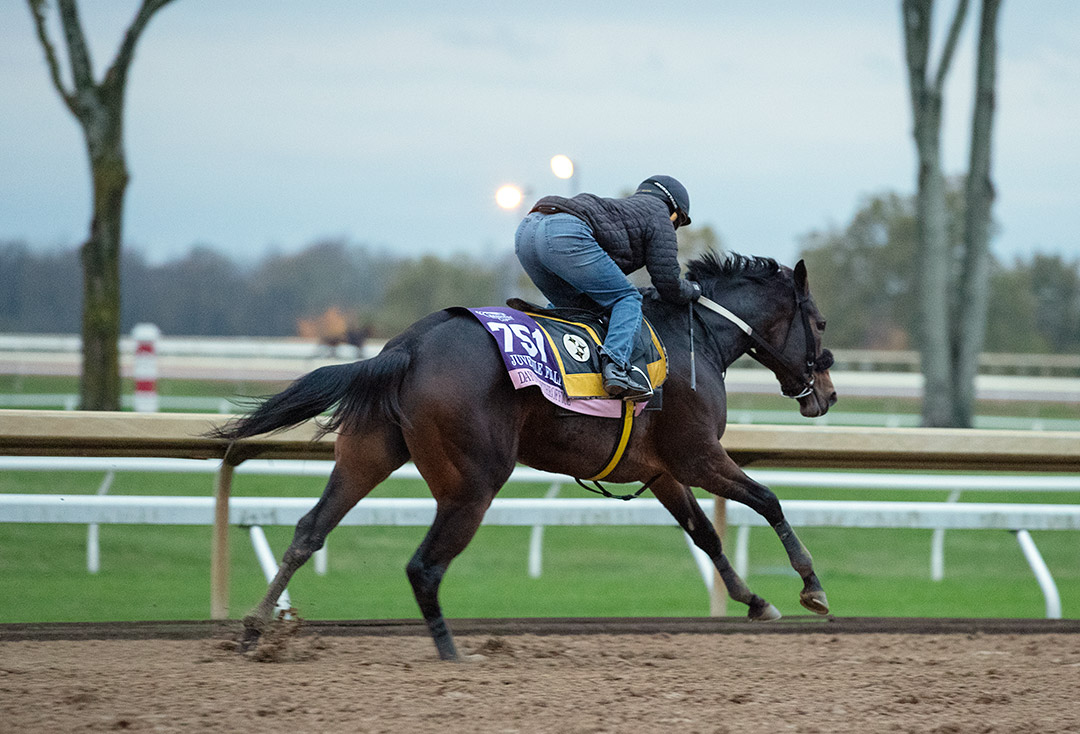 Dayoutoftheoffice trains in November at Keeneland for the Breeders' Cup