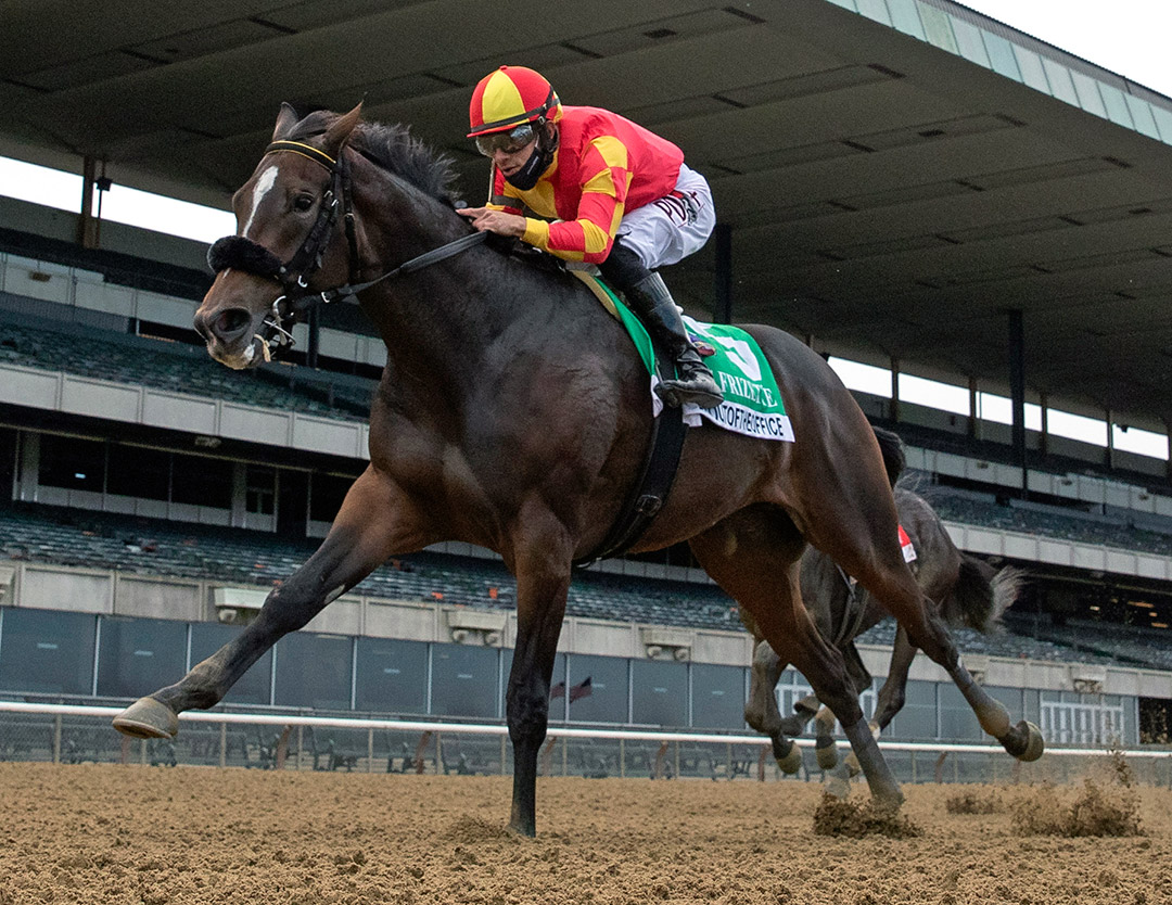 Dayoutoftheoffice wins the Frizette Stakes at Belmont Park