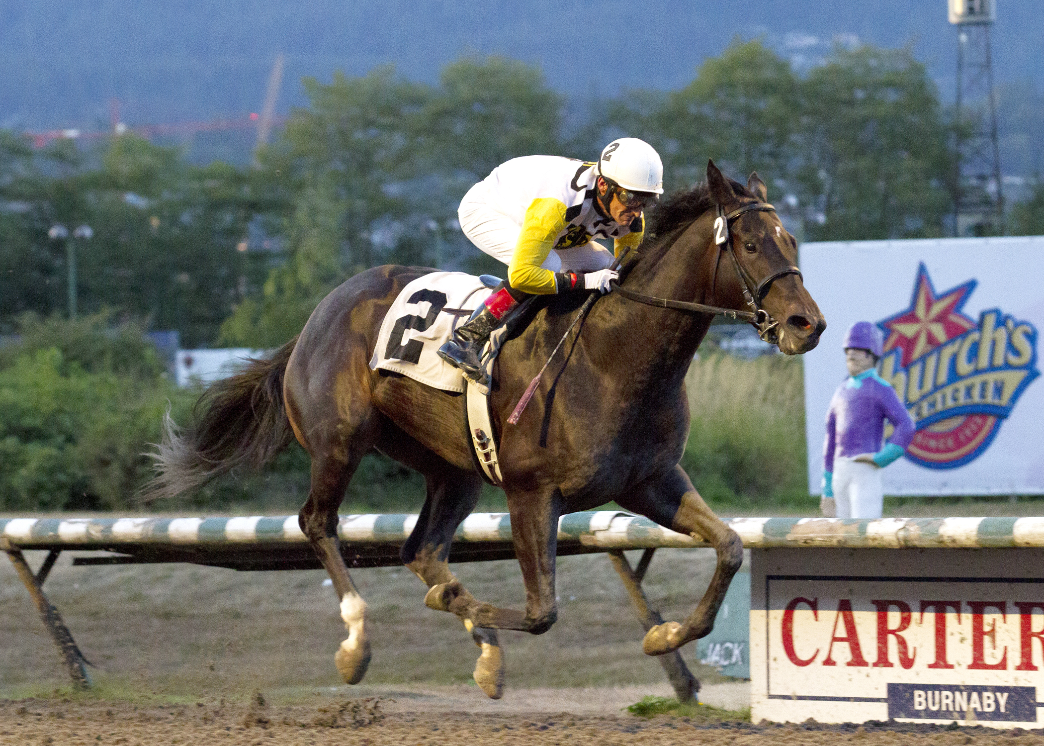 Daz Lin Dawn wins the 2017 CTHS Sales Stakes