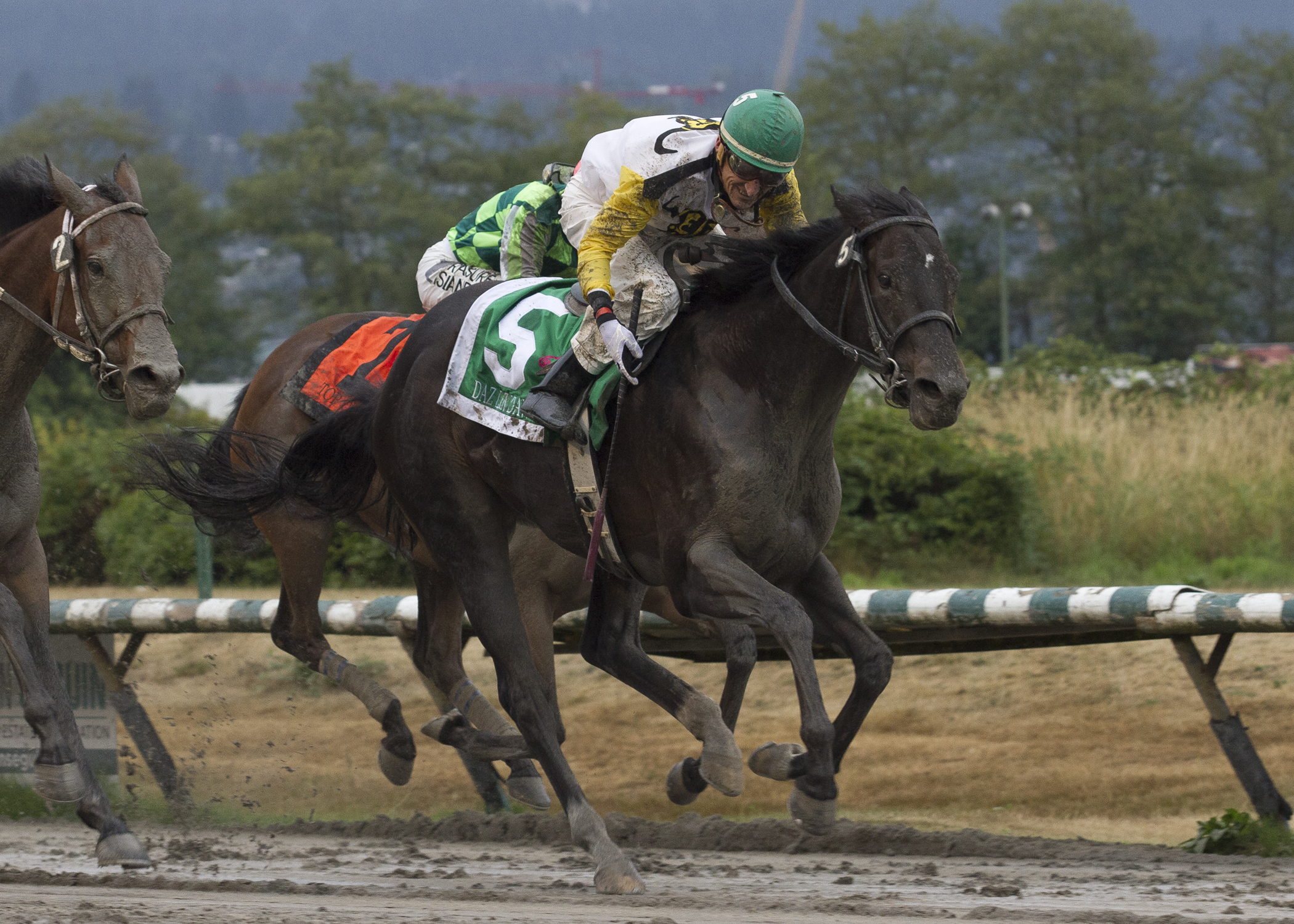 Daz Lin Dawn (#5) wins the 2017 British Columbia Oaks