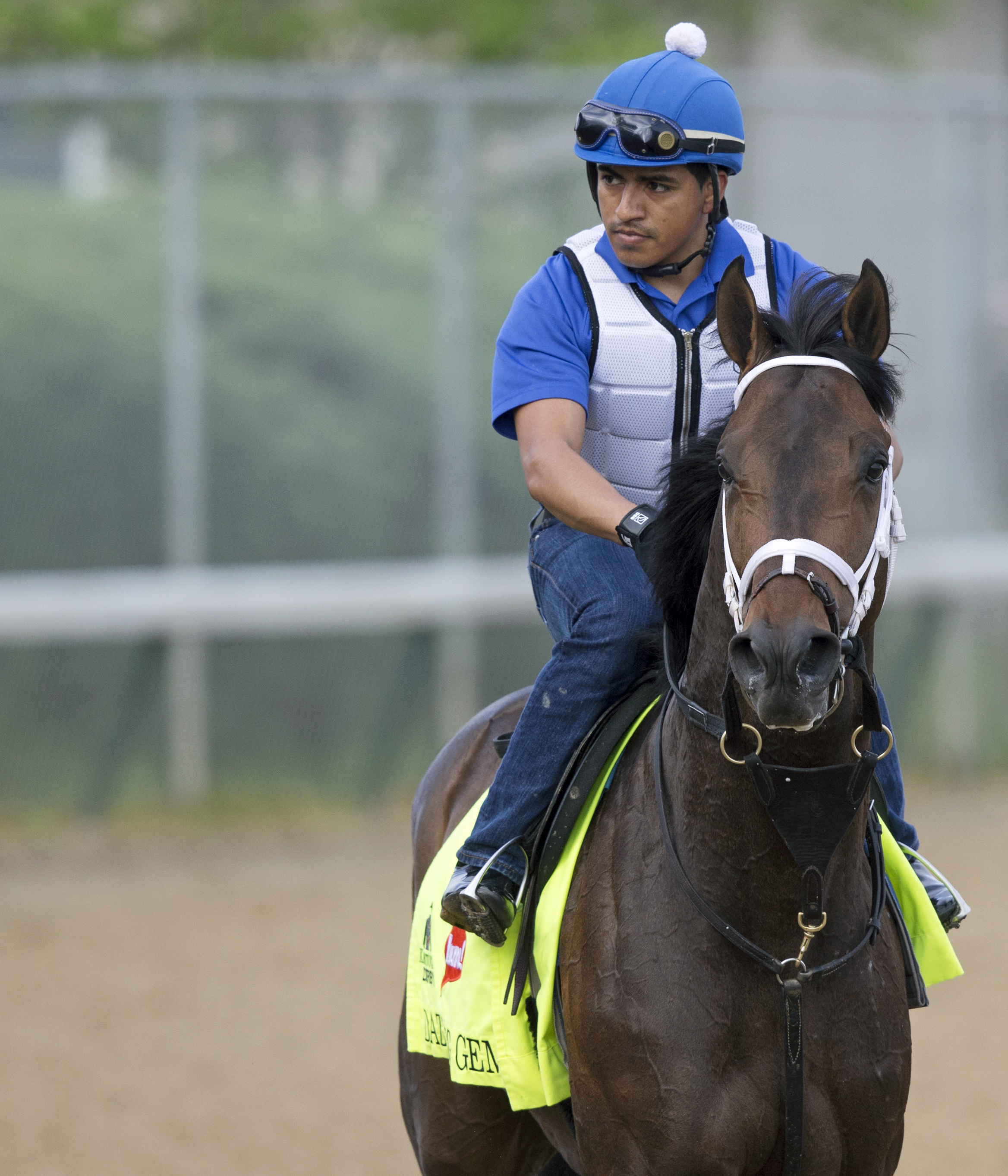 Dazzling Gem at Churchill in April 2016