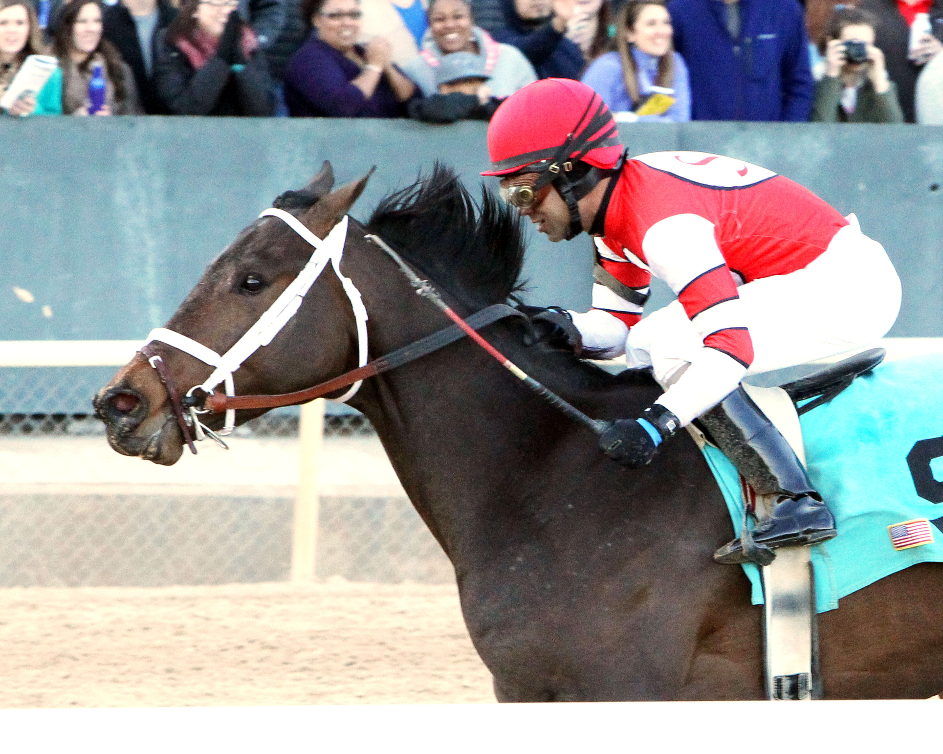 Dazzling Gem wins an allowance race