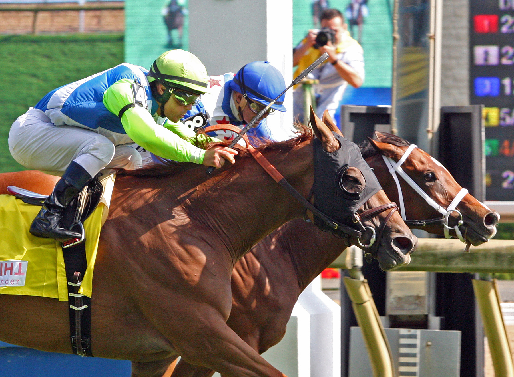 Dead Heat