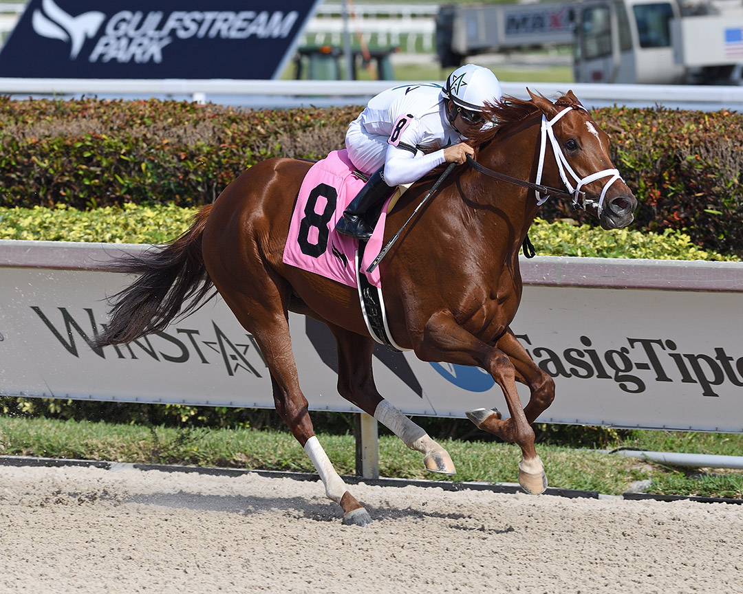Dean's List wins a Dec. 11 maiden race at Gulfstream Park