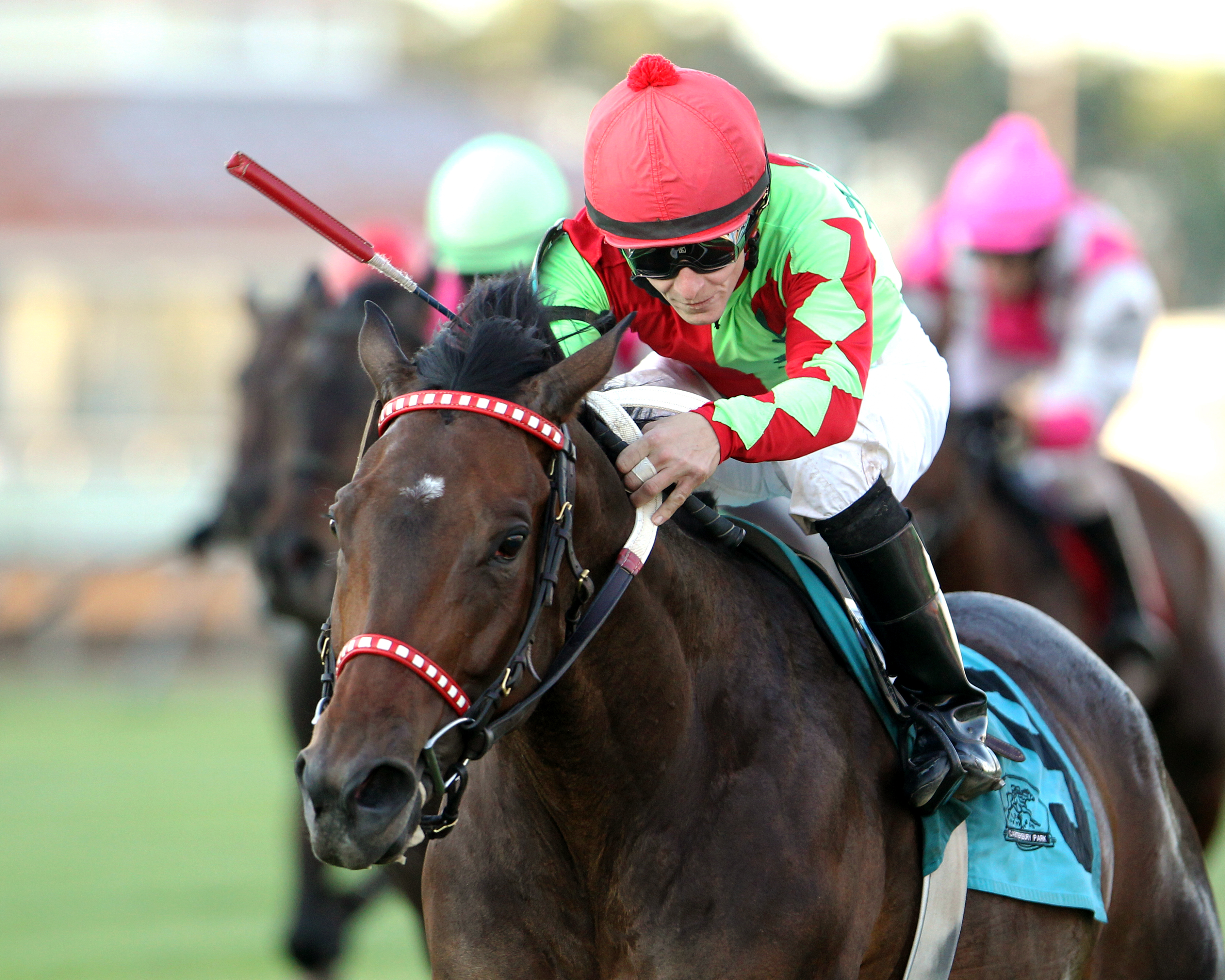 Dear Fay wins the 2014 Princess Elaine Stakes