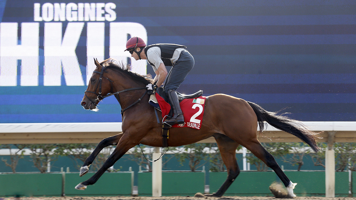 Deauville trains at Sha Tin in December 2017