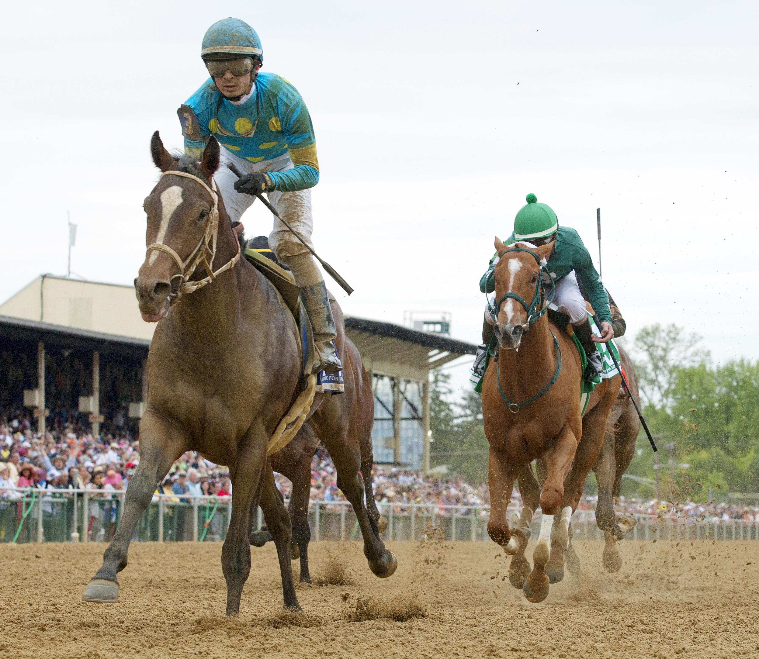 Debt Ceiling, Rollicking Stakes