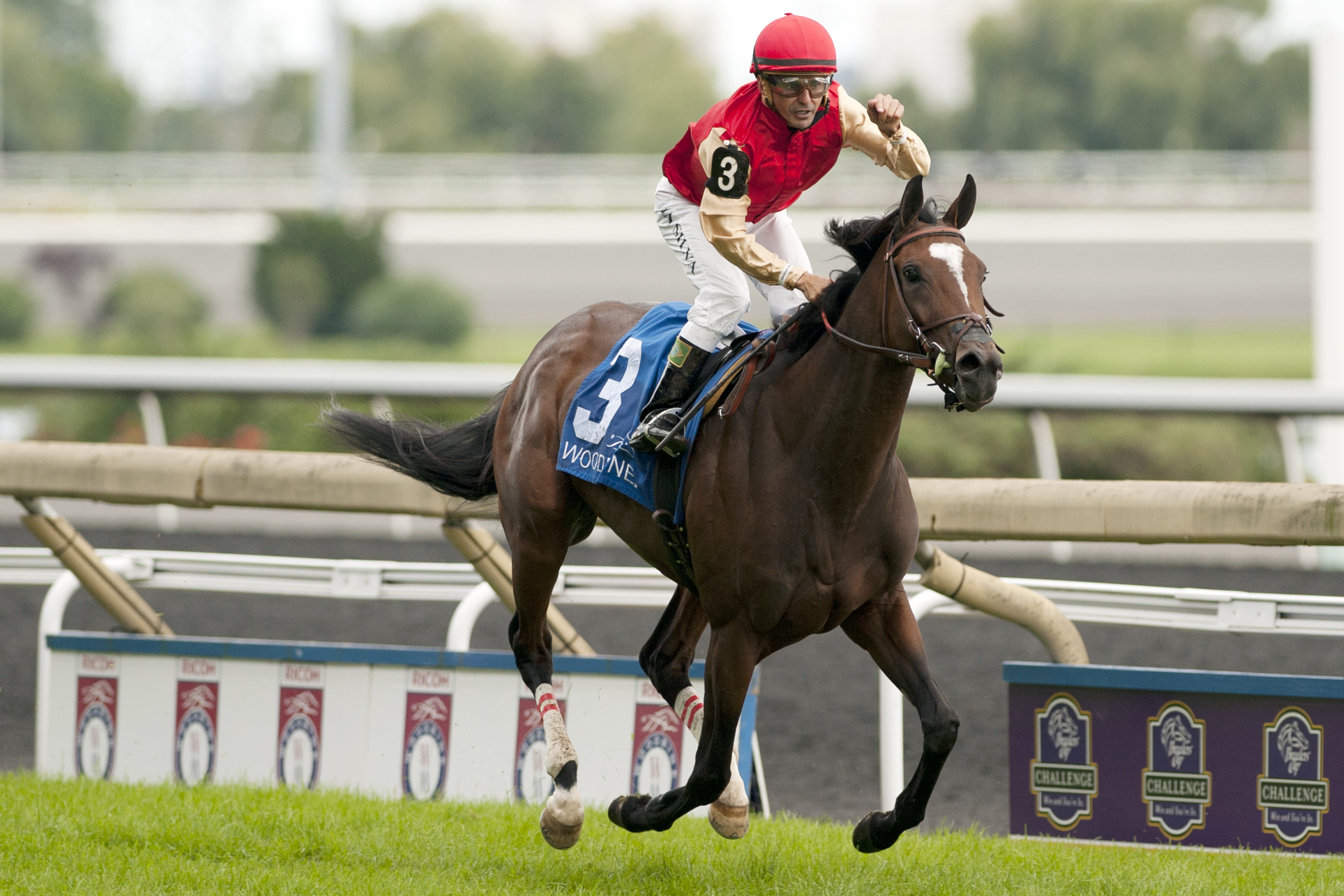 Deceptive Vision wins the Canadian Stakes