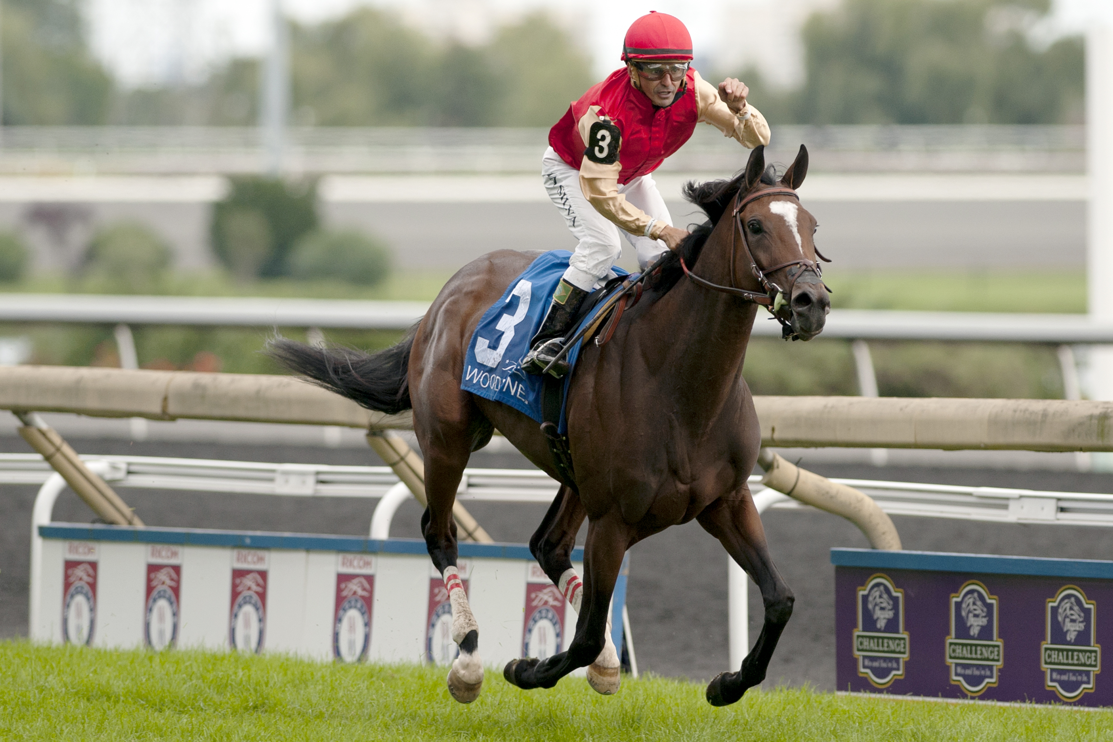 Deceptive Vision wins the Canadian Stakes