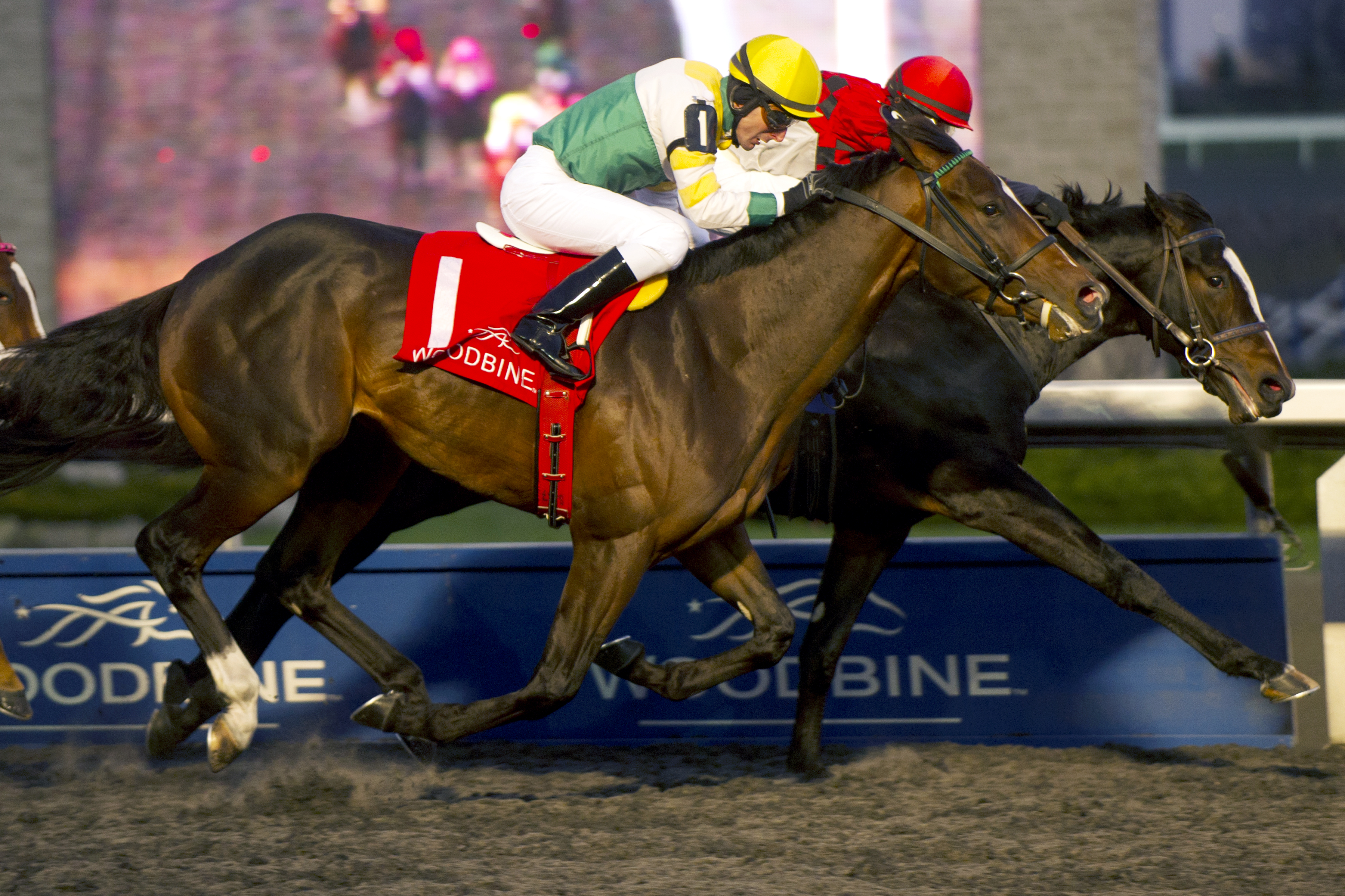 Decision Day wins the 2014 Coronation Futurity
