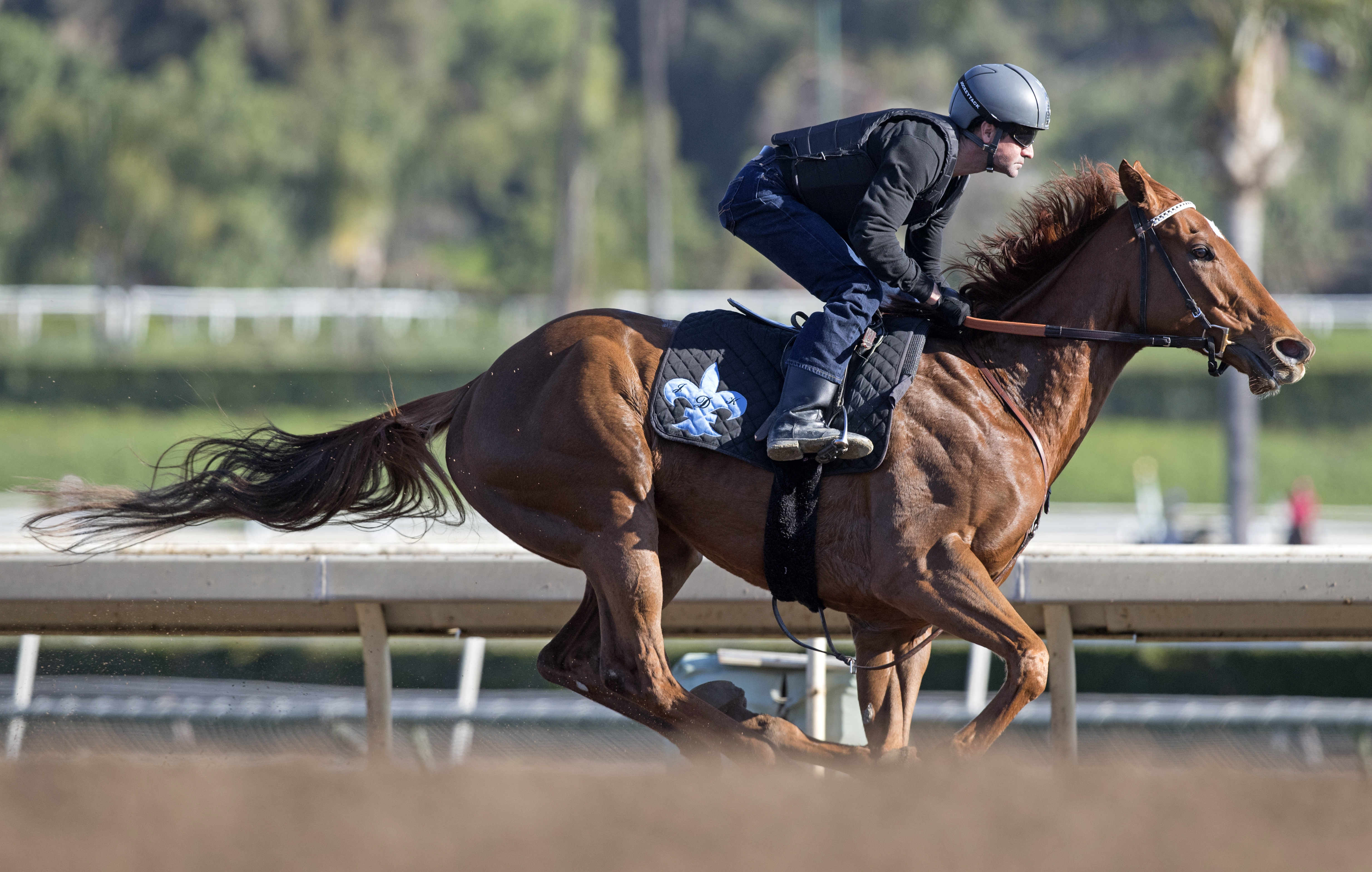 Decked Out trains at Santa Anita on Feb. 12
