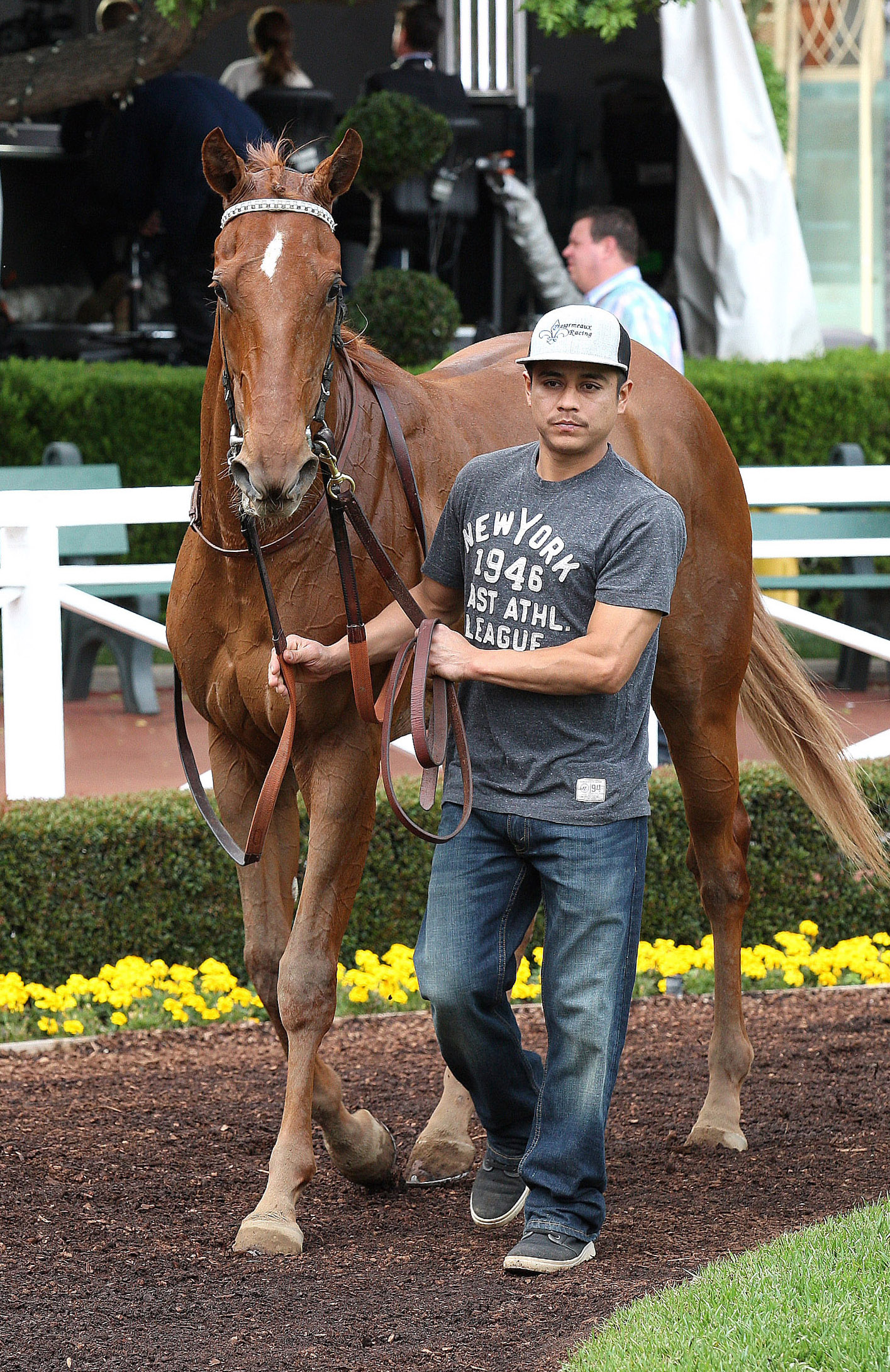 Decked Out at Santa Anita