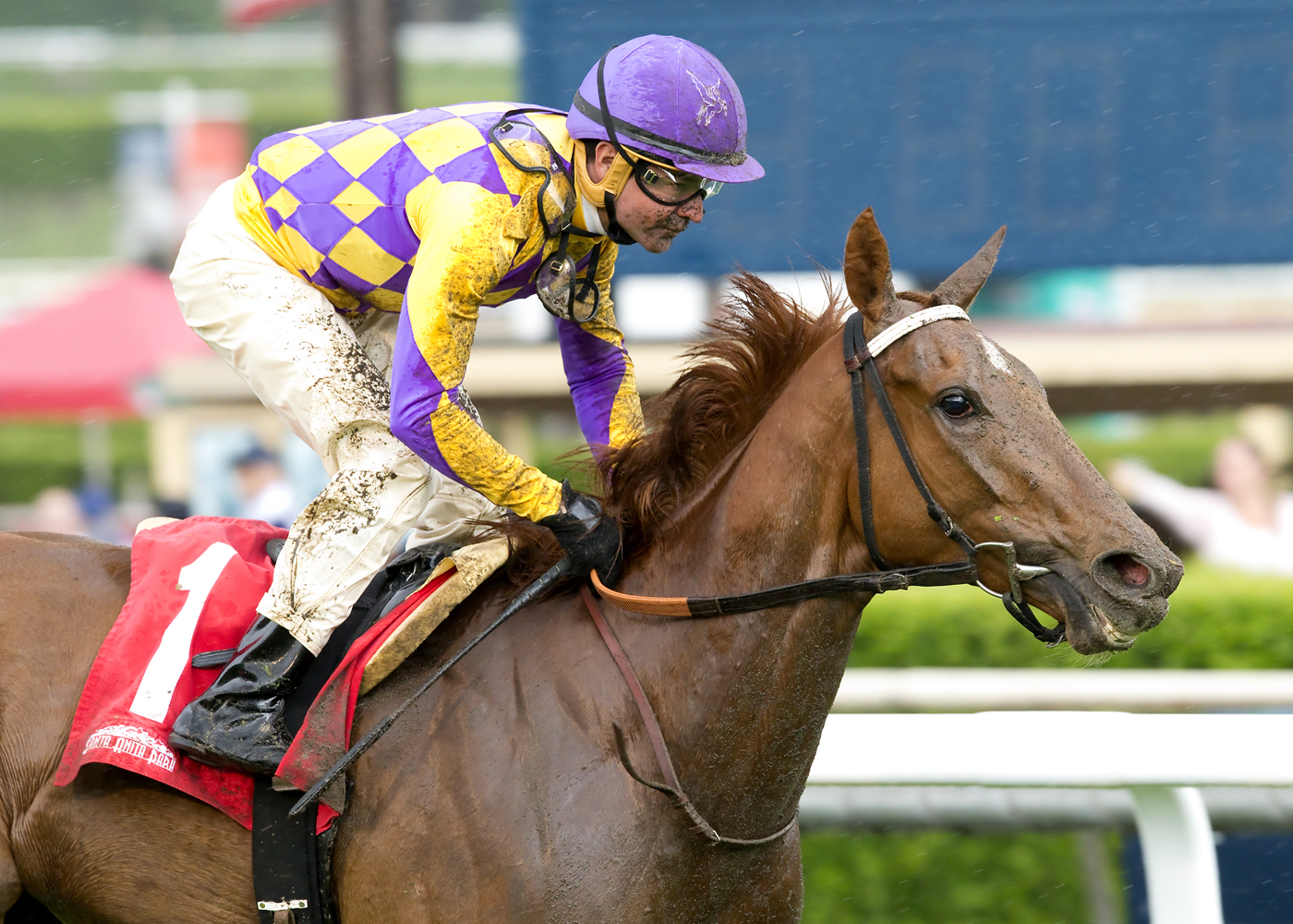 Decked Out wins the Providencia Stakes