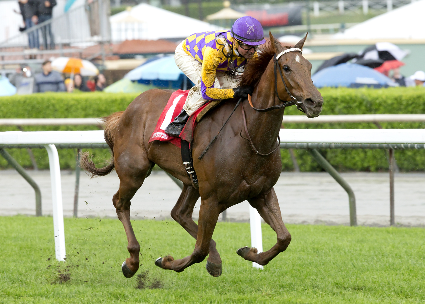 Decked Out wins the Providencia Stakes