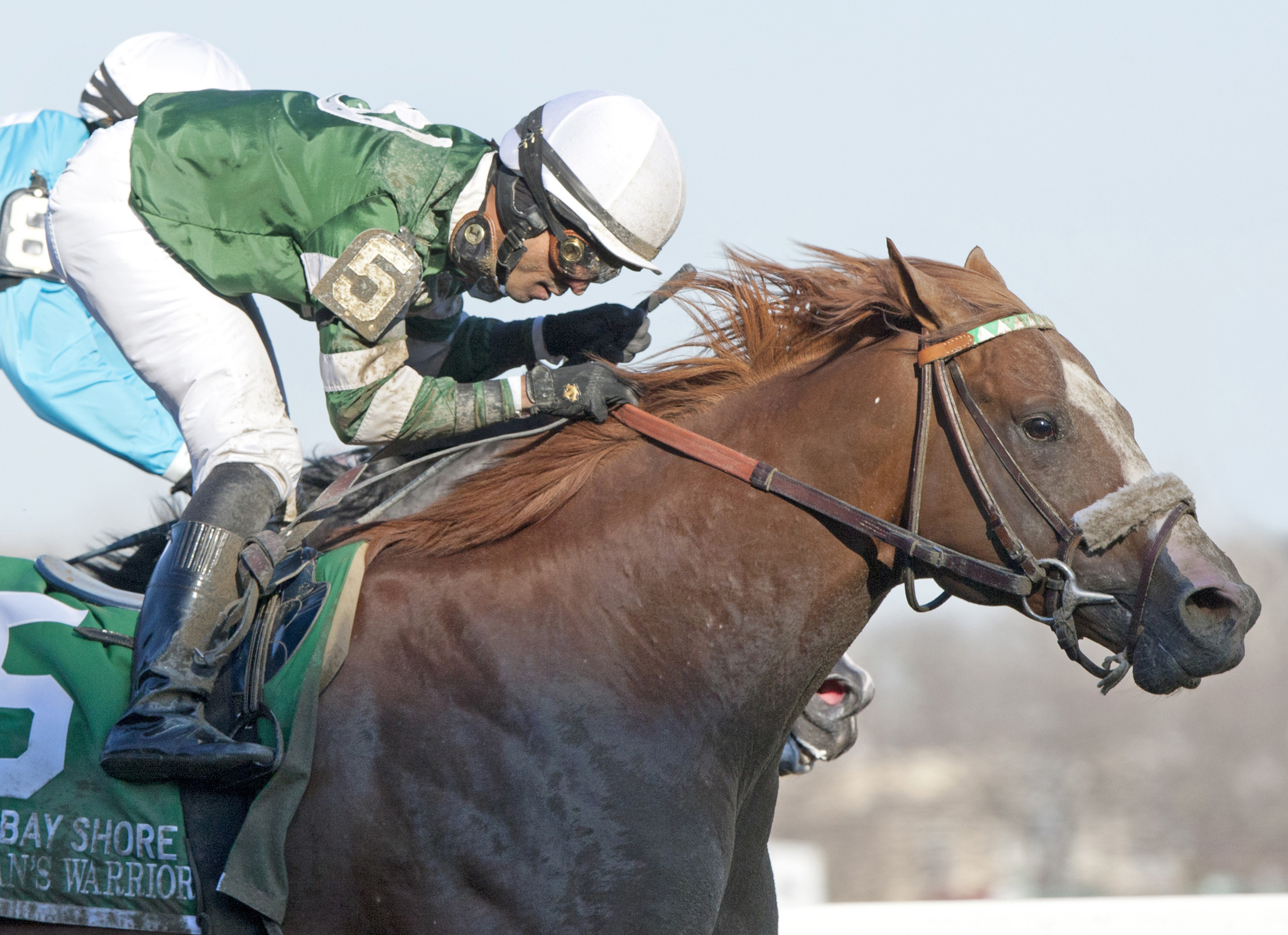 Declan's Warrior, Bay Shore Stakes
