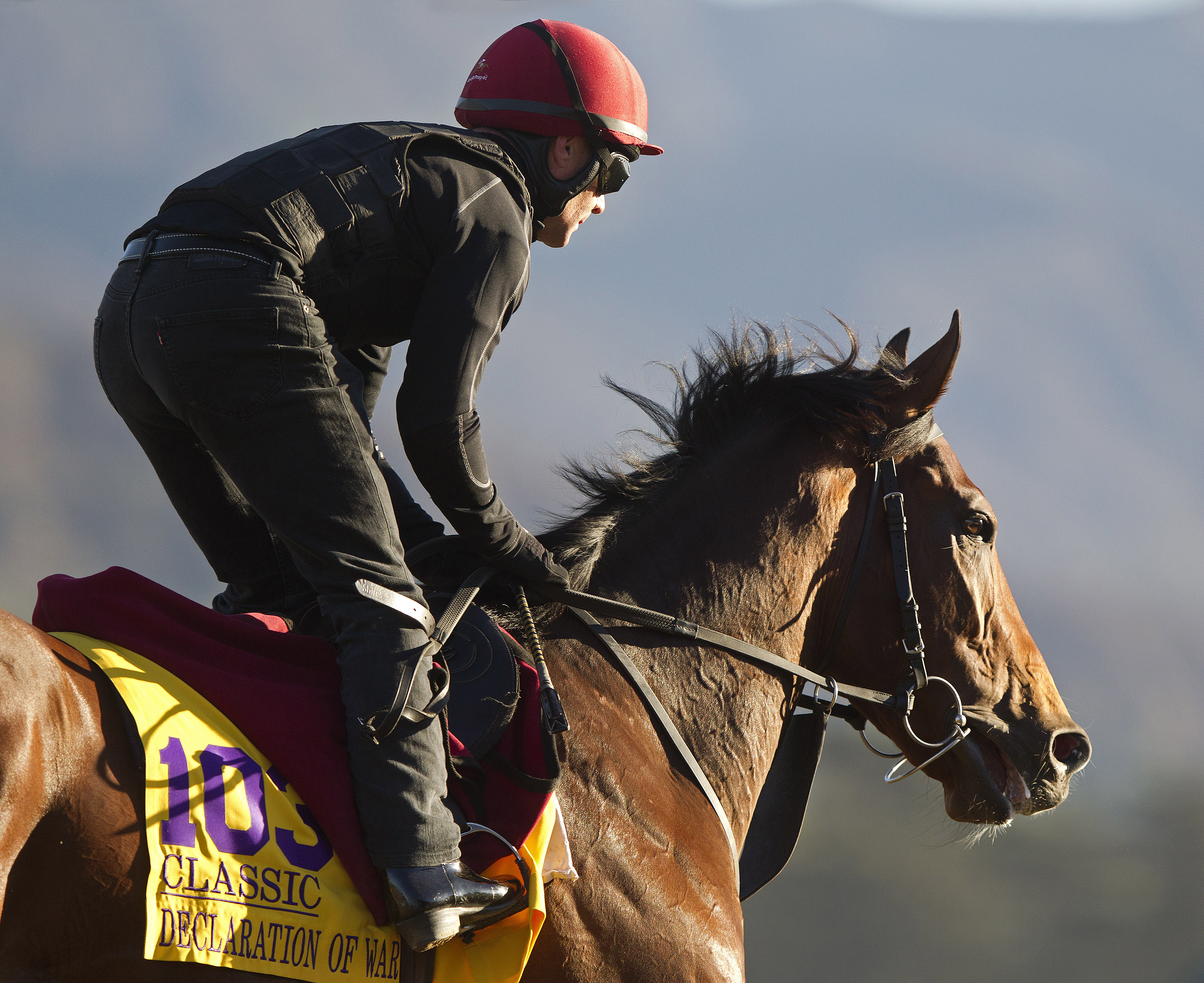 Declaration of War training at Santa Anita