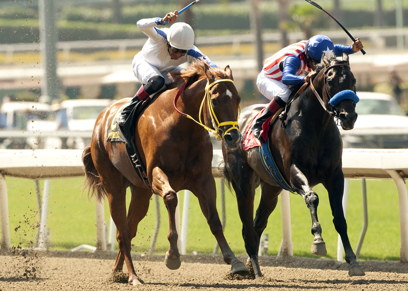 Declassify wins 2014 Senorita