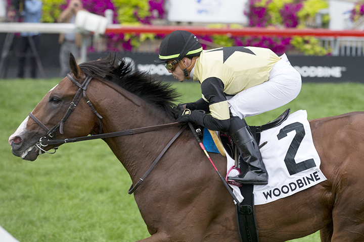 Decorated Invader wins the 2019 Summer Stakes at Woodbine