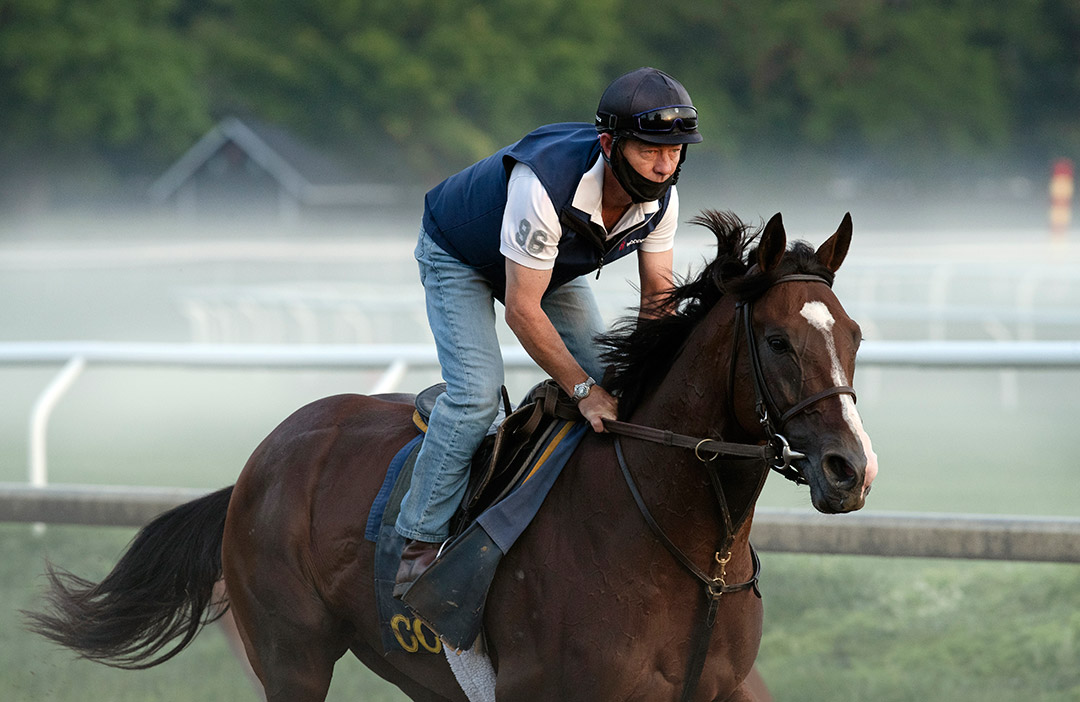 Decorated Invader trains at Saratoga Race Course on Aug. 13